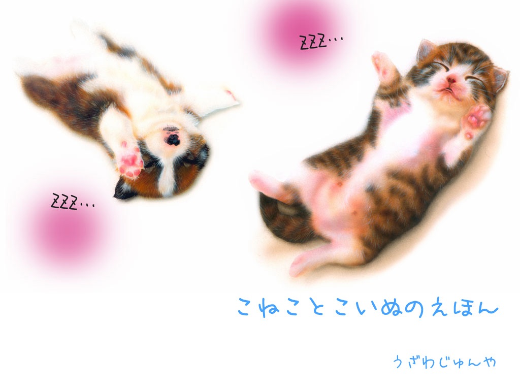 1�y�[�W�@�\��