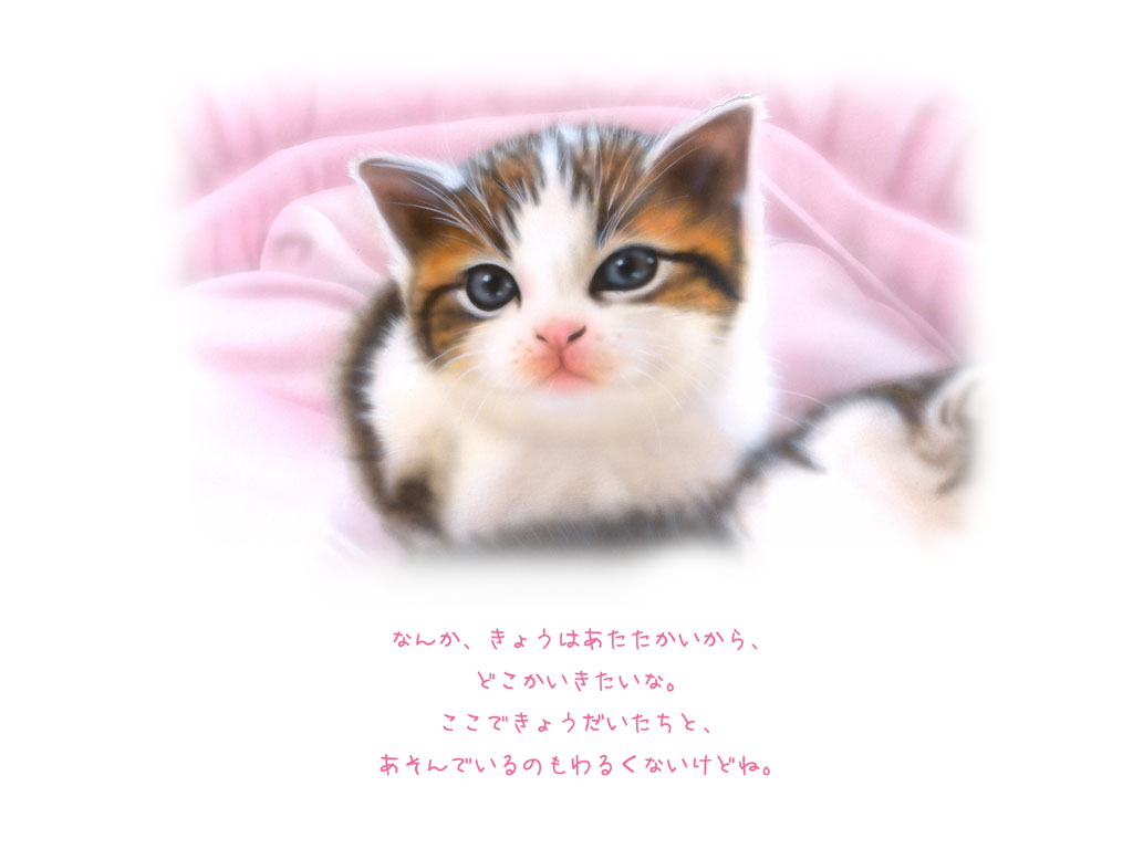 3�y�[�W�@�O�o�O