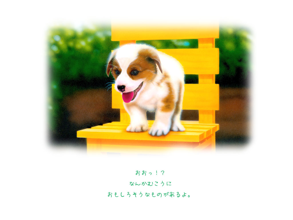 9�y�[�W�@yellow chair