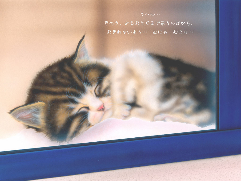 16�y�[�W�@�܂��N����Ȃ���c