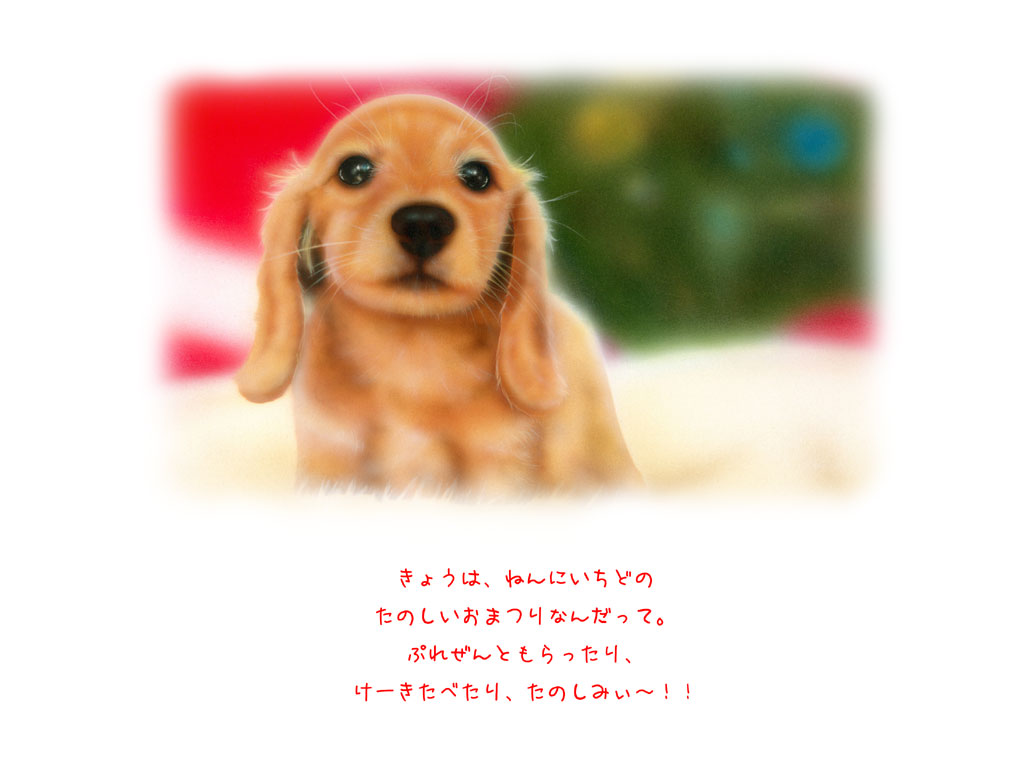 17�y�[�W�@�����N��