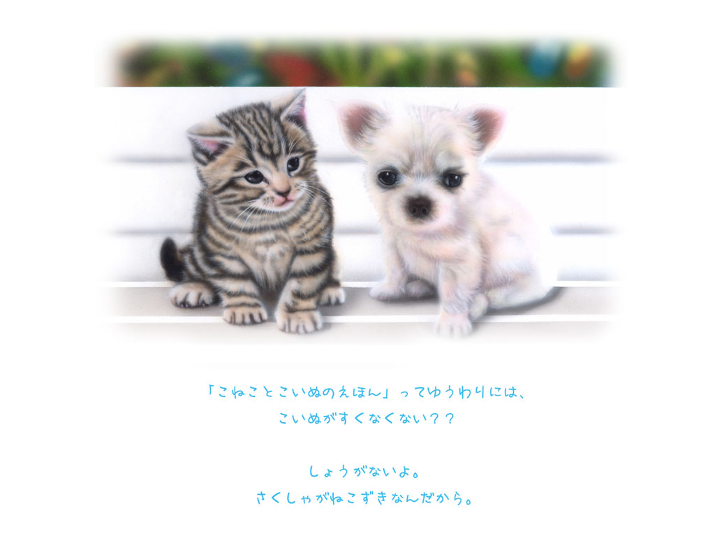 19�y�[�W�@�A���`��