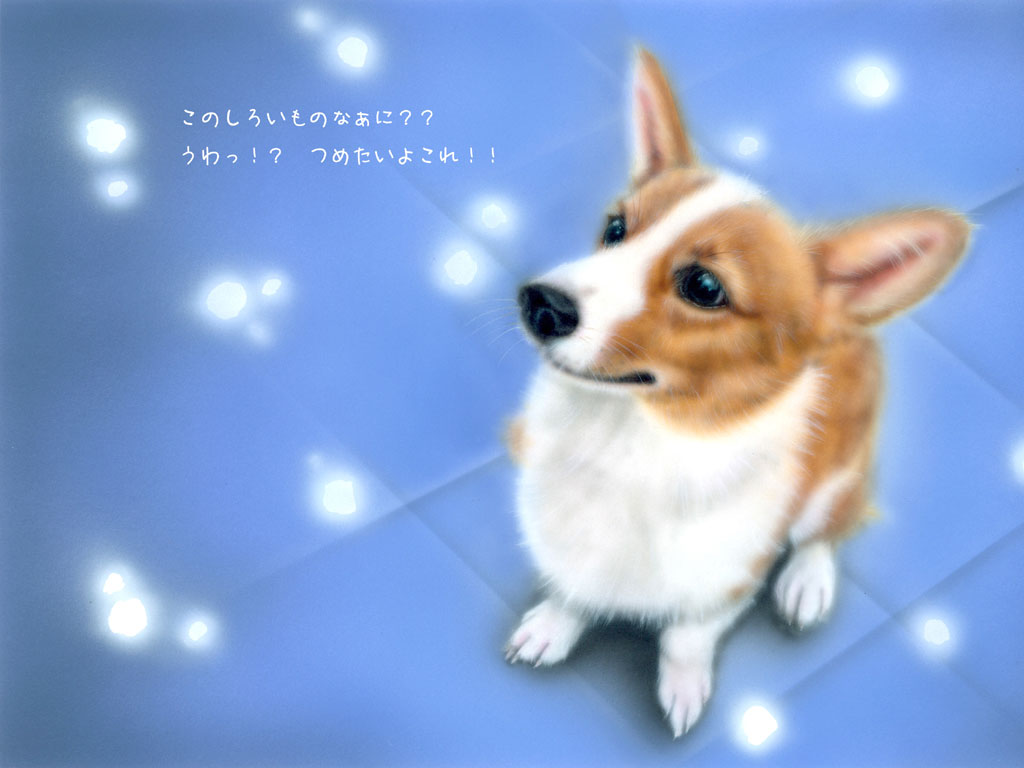 20�y�[�W�@����