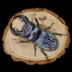 �����̊G�F�D�̓� (Tower Of Gray)�F�W���W���̊�Ȗ`�� ��O�� �X�^�[�_�X�g�N���Z�C�_�[�X ���