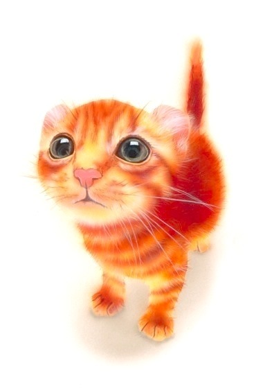 �q�L�̊G�F�u���C�H�v�A�����J���J�[���^American Curl