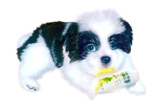 �q���̊G�F�V�F���[�̊ώ@���L 5/31 �u���̂��܂݂�B�v