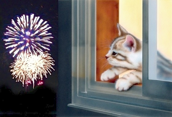 �q�L�̊G�FFireworks�i�ł��グ�ԉ΁j