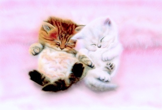 �q�L�̊G�FAlways together