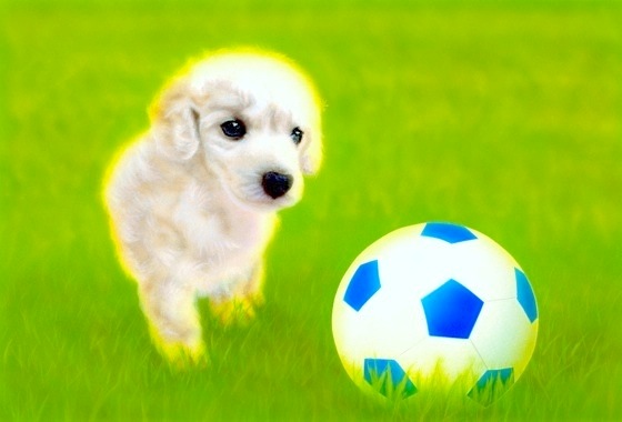 �q���̊G�FLet's play sports !!