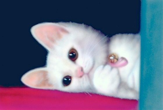 �q�L�̊G�FODDEYE �`�K�^���ĂԔL�`