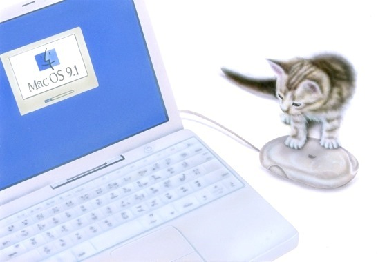 �q�L�̊G�F�˂��ݕ߂܂����I