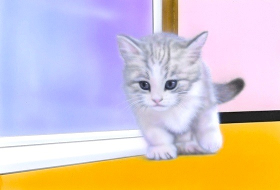 �q�L�̊G�FCurious kitten �`�q�L�̍D��S�`