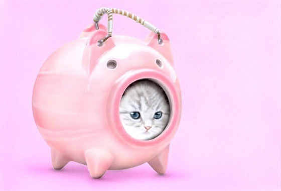 �q�L�̊G�F���Ƃ�ɂ�񂱂�2�i�ጭ��؂̒��̔L2�j