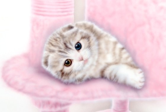 �q�L�̊G�^�X�R�e�B�b�V���E�I�b�h�A�C Version 2