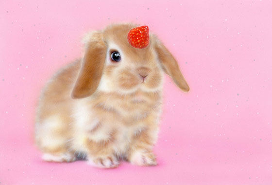 �q�L�̊G�^�G�b�^���j�s���[���F�ꍆ�i�e�Ɋp�F�̂������j