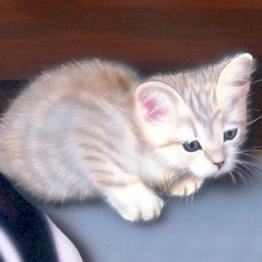 �q�L�̊G�F�䂤 My cat "you"