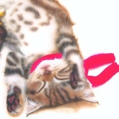 �q�L�̊G�FMerry Christmas