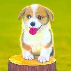 �q���̊G�F�R�[�M�[�^Corgi-2