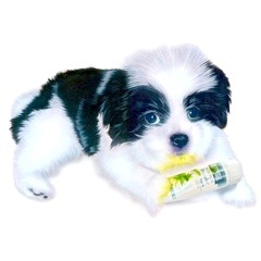 �q���̊G�F�V�F���[�̊ώ@���L 5/31 �u���̂��܂݂�B�v