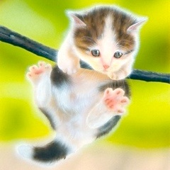 �q�L�̊G�F�u����΂�I�v