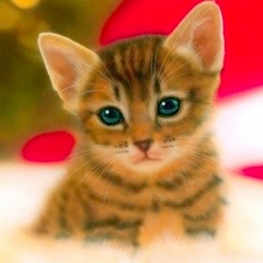 �q�L�̊G�F�uMerry Xmas 2001�v -Bengal-