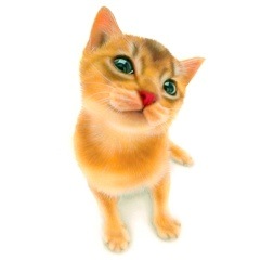 �q�L�̊G�F�u�Ȃɂ��Ă�́H�v