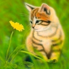 �q�L�̊G�F�t�̂ɂ�� �`�˂��ƃ^���|�|�`