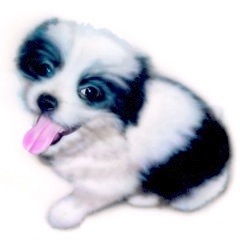 �q���̊G�F�V�F���[ (The 3rd anniversary�j