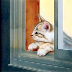 �q�L�̊G�F���c�u���Ɋ肢���c�vI wish to a star