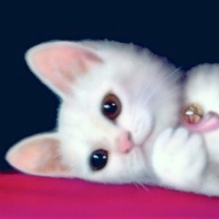 �q�L�̊G�FODDEYE �`�K�^���ĂԔL�`