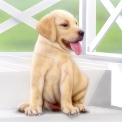 �q���̊G�F���u���h�[�����g���[�o�[