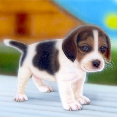 �q���̊G�F���U���r�[�O�� -remake-