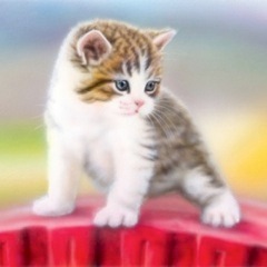 �q�L�̊G�FIn the park