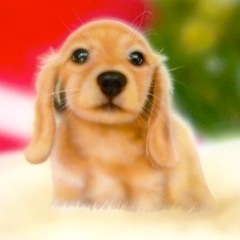 �q���̊G�F�����N��