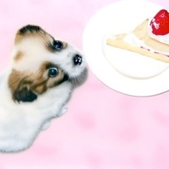 �q���̊G�FHappy Birthday to �~�~�~