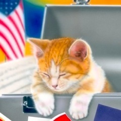 �q�L�̊G�FStars and Stripes