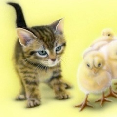 �q�L�̊G�F�q�i�܂�I