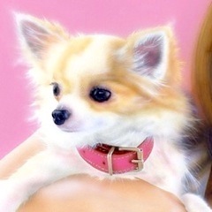 �q���̊G�F�G�r�����iwith �`�����j