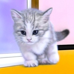 �q�L�̊G�FCurious kitten ?�q�L�̍D��S?