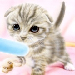 �q�L�̊G�FIce pop�i�A�C�X�L�����f�B�j