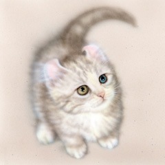 �q�L�̊G�F�u�K���̂ɂ�񂱁vB.K.S.N:�A�����J���J�[���E�}���`�J���E�I�b�h�A�C