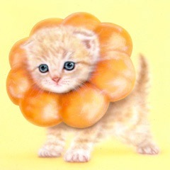 �q�L�̊G�F�|���f�j���C�I���i�|���f�ɂ�񂱁^�|���f�����O�L�j