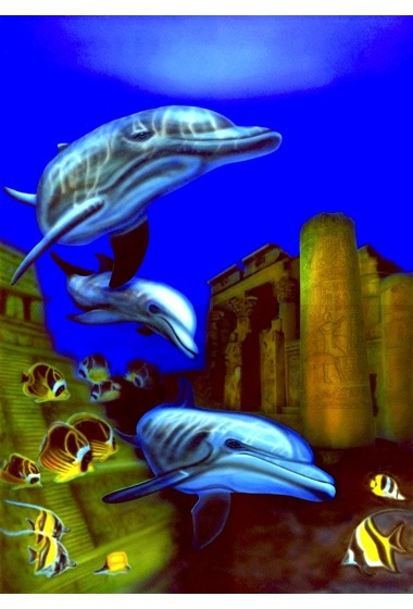 �C���J�̊G�F�C���J�ƈ��