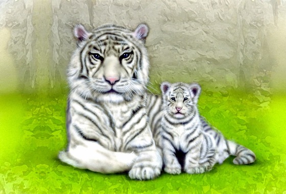 �z���C�g�^�C�K�[�̊G�^�z���C�g�^�C�K�[�e�q