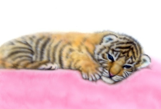 �x���K���^�C�K�[�̊G�^Bengal Tiger�F�Q���ׂ�x���K���^�C�K�[�̐Ԃ����^Bengal Tiger