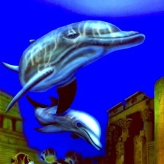 �C���J�̊G�^Dolphin�F�C���J�ƈ��