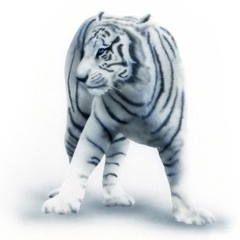 �z���C�g�^�C�K�[�̊G�^Bengal Tiger�F��n�ɗ��z���C�g�^�C�K�[