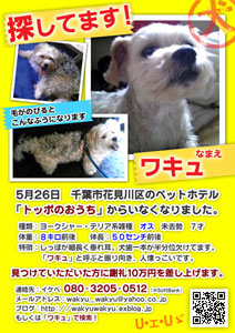 ���q�����L����T���Ă��܂��I��t�s�Ԍ����̃y�b�g�z�e���u�g�b�|�̂������v���炢�Ȃ��Ȃ�܂����c