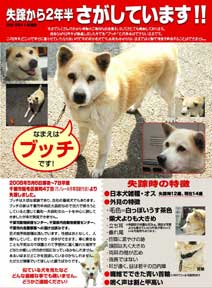 �u�b�`�N�{���Ă��܂��F�|�X�^�[