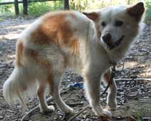 �W��������{���Ă��܂��F�|�X�^�[